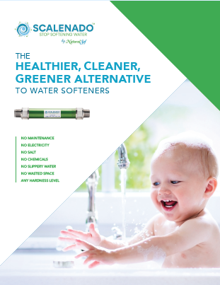 Primary Brochure Cover Image